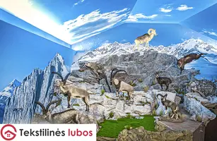 Medžiotojų namelis