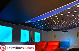 Namų kino teatras